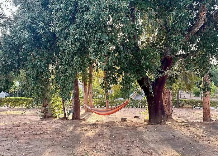 Balaia Gardens In Apartamento *