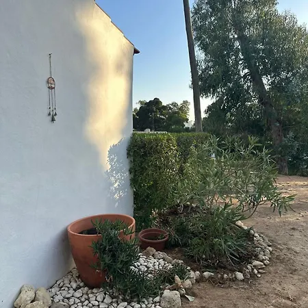 T1 With Garden Quinta Da Balaia In Apartment *