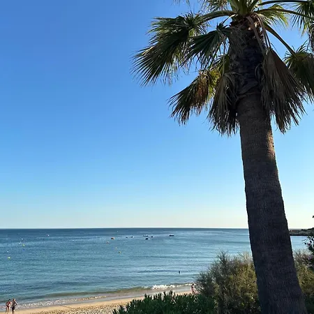 T1 With Garden Quinta Da Balaia In Apartment Albufeira