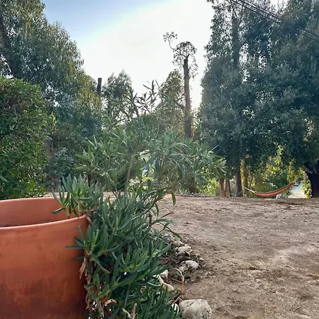 T1 With Garden Quinta Da Balaia In Apartment