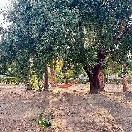 T1 With Garden Quinta Da Balaia In Apartment *