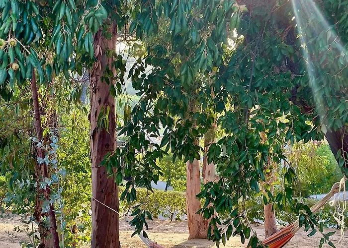 Balaia Gardens In *
